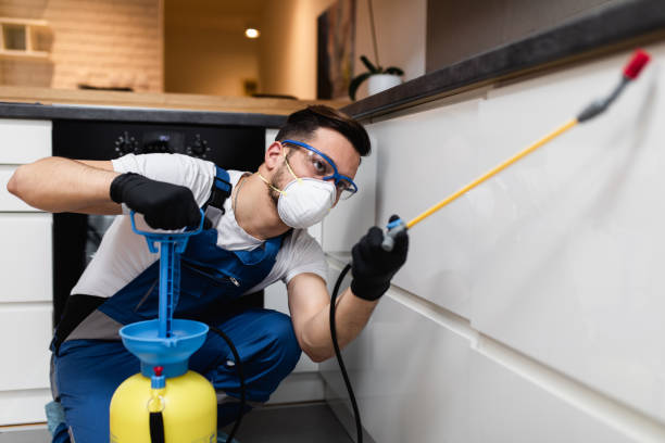Best Affordable Pest Control Services  in Woodridge, IL