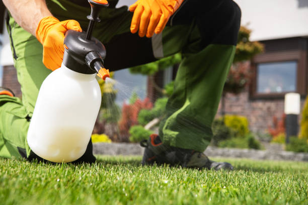 Best Insect Control  in Woodridge, IL