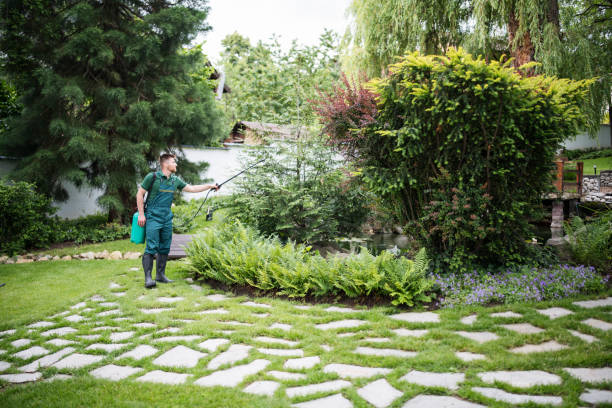 Flea Control Services in Woodridge, IL